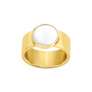 Bague Olive en Acier