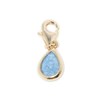 Charm's  Adonis Blue Aventurine - vue V1