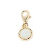 Charm's Asia Amazonite - vue V1
