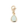 Charm's  Adonis Amazonite - vue V1