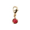 Charm's Auxence Rubis - vue V1