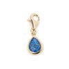 Charm's  Adonis Lapis - vue V1