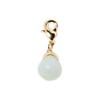 Charm's Agatha Amazonite - vue V1