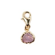 Charm's Ambroise Amethyste