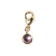 Charm's Auxence Amethyste