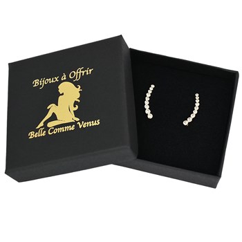 Round closed zirconium oxide climbing earrings Gold-plated 750 3 microns