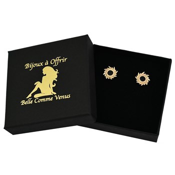 Centraal Agaat zonnestraal oorbellen 750 verguld 3 micron