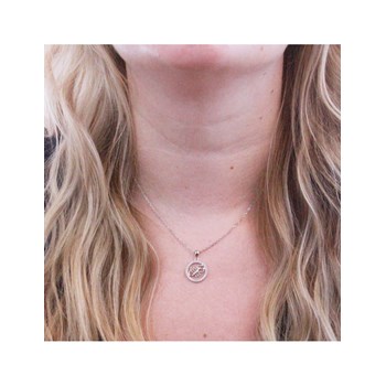 Dierenriem Schorpioen Hanger - Zilver en Kristal