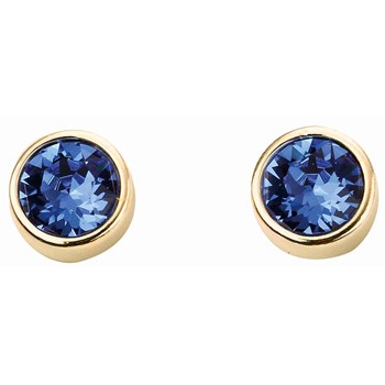 Boucle d'oreille plaqué or en argent 925/1000