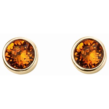 Boucle d'oreille plaqué or en argent 925/1000