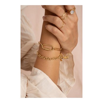 Roestvrij stalen armband, gouden schakel
