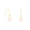 Boucles d'Oreilles Or Jaune Perles de Culture Rose - Dormeuses - vue V1