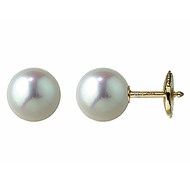 Boucles d'oreilles or perles akoya du japon 8 mm