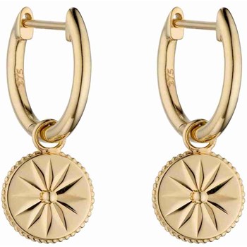 Boucle d'oreille original sur or 375/1000