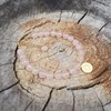 Bracelet Quartz Rose Chakra Anahata Argent 925 Doré - vue V2
