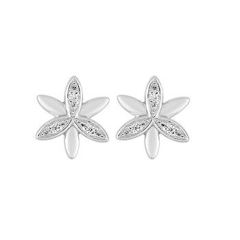 Boucles d'oreilles Femme - Oxyde de zirconium - Argent 925