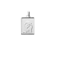 Pendentif mixte - Argent 925 - Signe Astrologique - Verseau