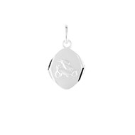 Pendentif mixte - Argent 925 - Signe Astrologique - Capricorne