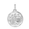 Pendentif mixte - Argent 925 - Signe Astrologique - Verseau - vue V1