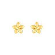 Boucles d'oreilles femme - Or 9 Carats - Etoile