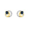 Boucles d'oreilles femme - Saphir - Or 18 Carats - vue V1