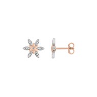 Boucles d'oreilles Femme - Or 18 Carats - Diamant 0,1 Carats
