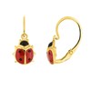 Boucles d'oreilles Enfant - Or 18 Carats - Coccinelle - vue V1