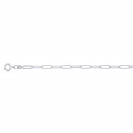 Collier Saunier chaine maillon argent