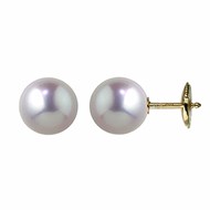 Boucles d'oreilles or perles akoya du Japon 8.5/9 mm