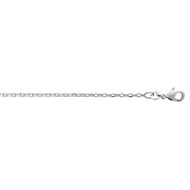 Chaine Brillaxis maille forçat argent 55 cm
1.6 mm