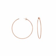 Boucles D'oreilles Créoles Petit Modèle Argent Rose Diamanté Alba