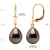STELLA - Boucles d'Oreilles Perles de Tahiti 9-10 mm Or Jaune - vue V3