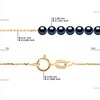 Collier Gourmette - 15 Véritables Perles de Culture d'Eau Douce Rondes 3-4 mm - Black Tahti - Or Jaune - vue V3