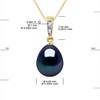 Pendentif Joaillerie Diamants 0,01 Cts - Véritable Perle de Culture d'Eau Douce Poire 9-10 mm - Black Tahiti - Or Jaune - vue V3