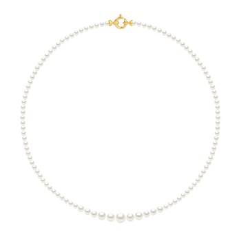 Collier Chute - Véritables Perles de Culture d'Eau Douce Rondes de 3 à 6 mm - Blanc Naturel - Or Jaune