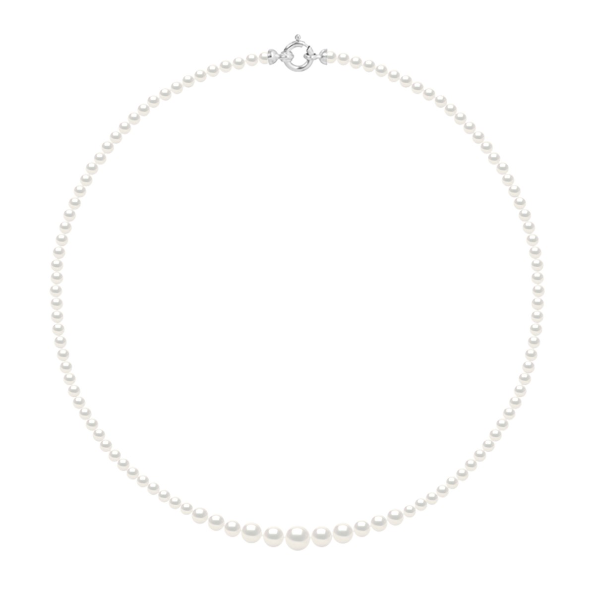Collier Chute - Véritables Perles de Culture d'Eau Douce Rondes de 3 à 6 mm - Blanc Naturel - Or Blanc