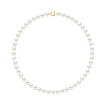 CHOKER - Véritables Perles de Culture d'Eau Douce Rondes 10-11 mm - Blanc Naturel - Or Jaune