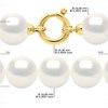 CHOKER - Véritables Perles de Culture d'Eau Douce Rondes 10-11 mm - Blanc Naturel - Or Jaune - vue V3