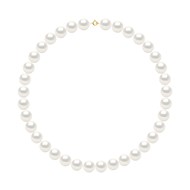Collier - Rang Véritables Perles de Culture d'Eau Douce Rondes 12-13 mm - Blanc Naturel - Or Jaune