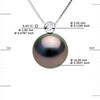 Collier JOAILLERIE PRESTIGE Diamant 0.03 Cts - Véritable Perle de Culture de Tahiti Ronde 10-11 mm - Or Blanc 750 Millièmes (18 Cts) - vue V3