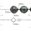Colliers 7 Véritables Perles de Culture de Tahiti Cerclées 8-9 mm - Or Blanc - vue V3