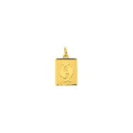 Médaille Zodiaque Poisson rectangulaire 12x15 - Or 18 carats