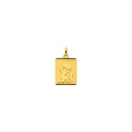 Médaille Zodiaque Verseau rectangulaire - Or 18 carats