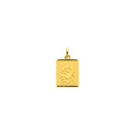 Médaille Zodiaque Scorpion rectangulaire 12x15 - Or 18 carats