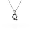 Collier Pendentif ADEN Lettre Q Diamant Noir Chaine Argent 925 incluse 0.72grs - vue V3