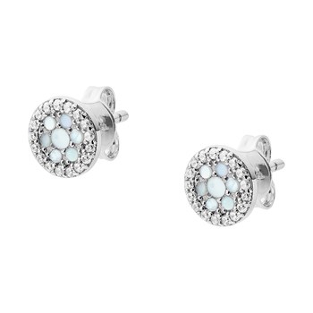 Fossiel zilveren parelmoer oorbellen