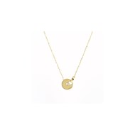 Collier Zag Bijoux acier doré médaillon