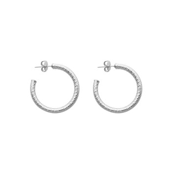 Boucles D'oreilles En Argent Créoles Tubes Python Petit Modèle Argenté Diamètre 25mm