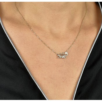 Vergulde salamander halsketting 750 3 micron