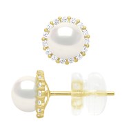 Boucles D'Oreilles Puces - véritables Perles De Culture d'Eau Douce Rondes entourage en Oxydes de Zirconium - Or Jaune